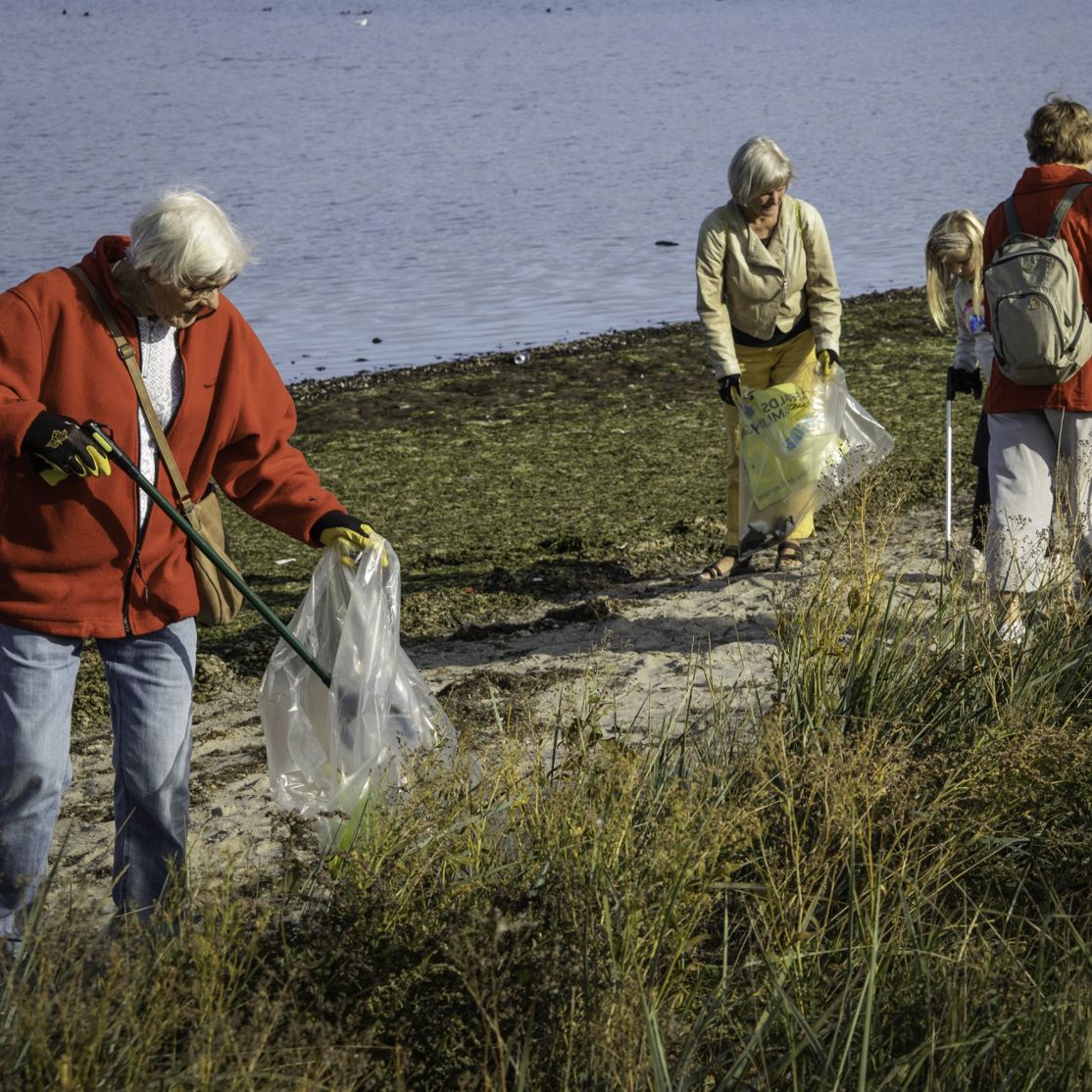 En gruppe mennesker samler affald langs Roskilde Fjord