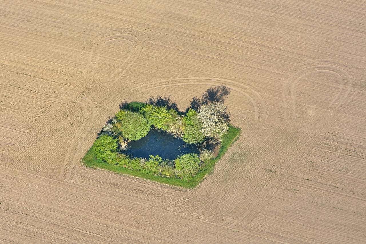 Vandhul på harvet mark på Fyn.