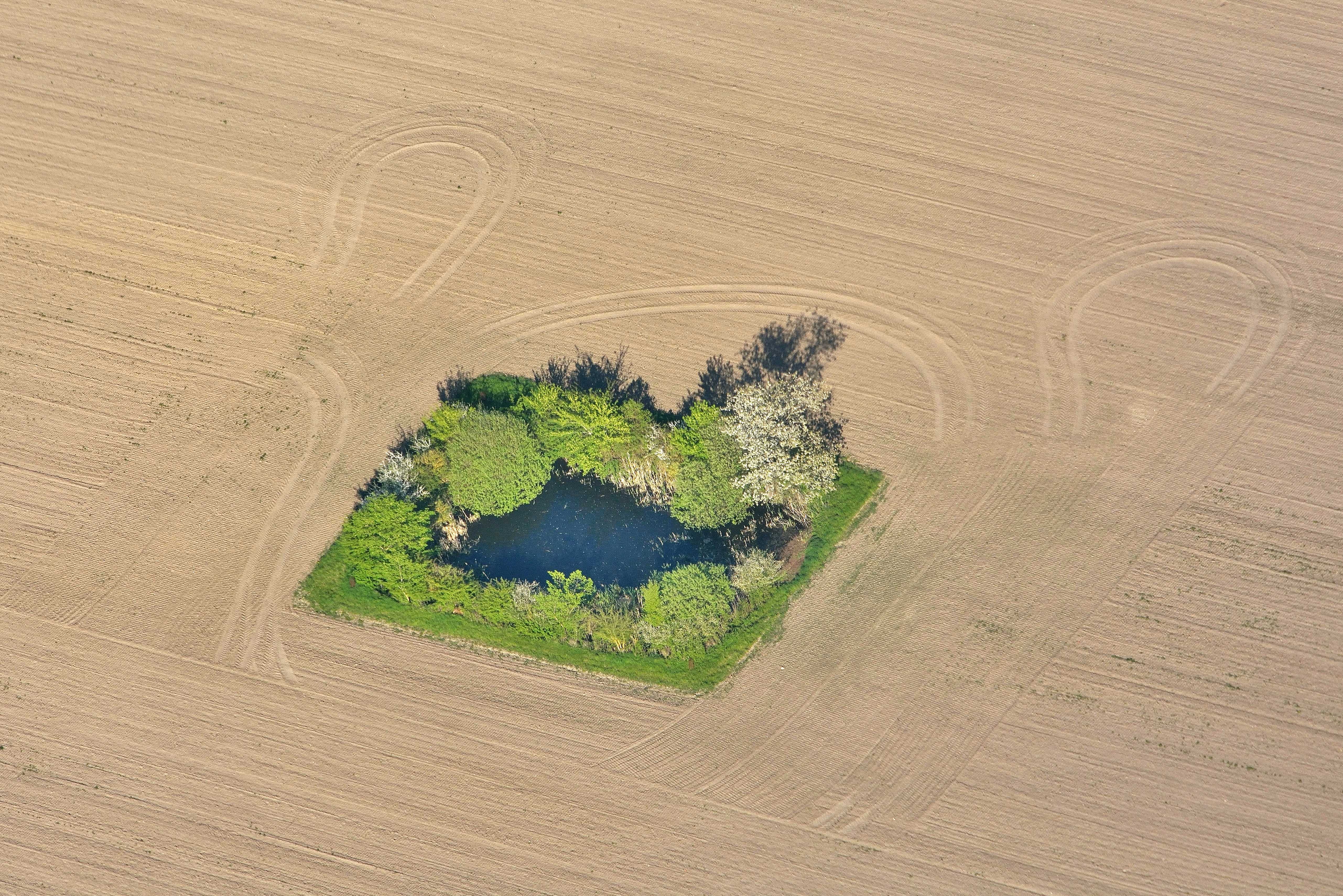 Vandhul på harvet mark på Fyn.