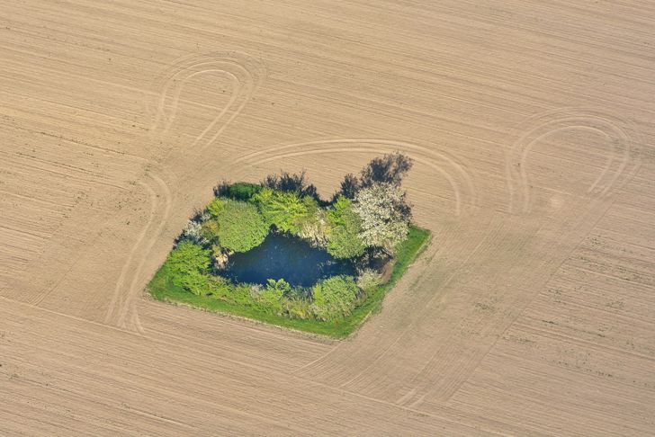 Vandhul på harvet mark på Fyn.