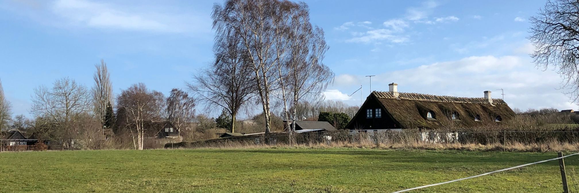 Hørhusene i landzone