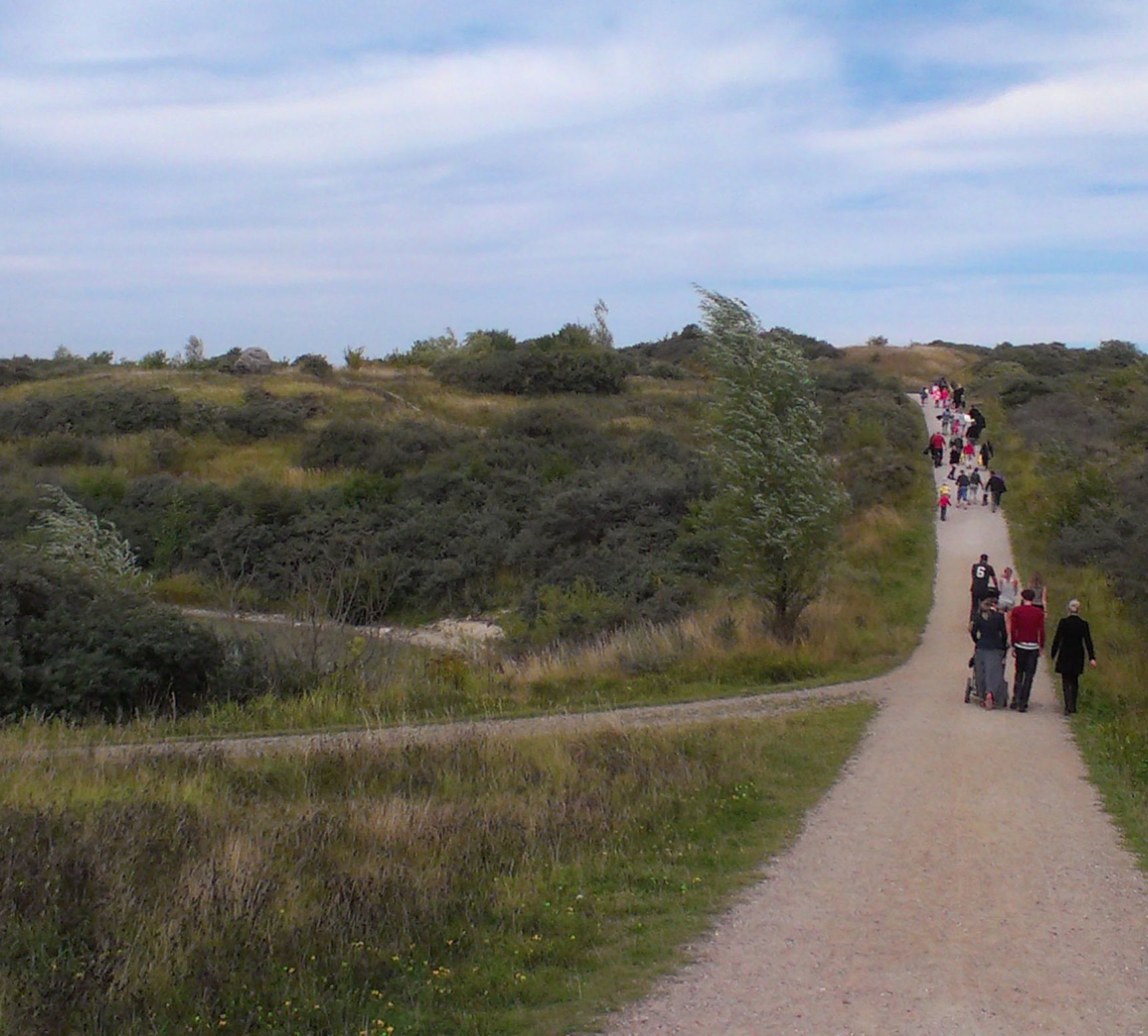 Folk går tur i Hedeland