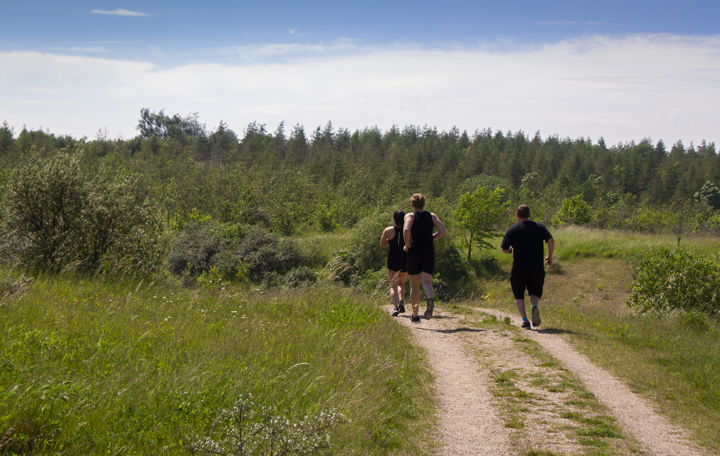Det er sundt og godt at bevæge kroppen. Og i sommertiden kan det oven i købet foregå under åben himmel i naturen.