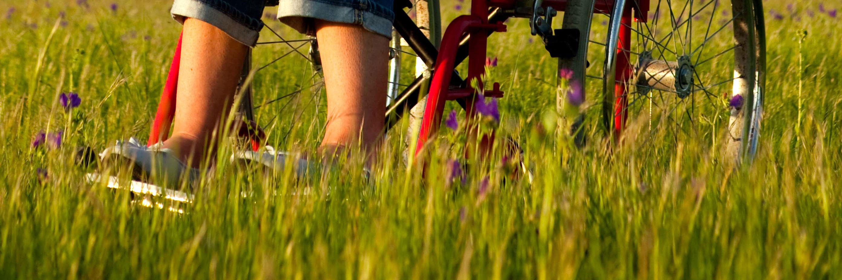 Person i kørestol på græseng