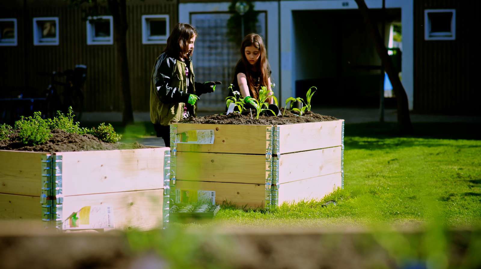 Nyttehave Rønnebærparken