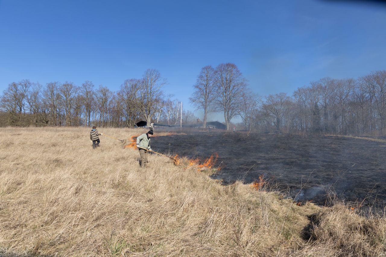 Afbrænding ved Vigen Strandpark