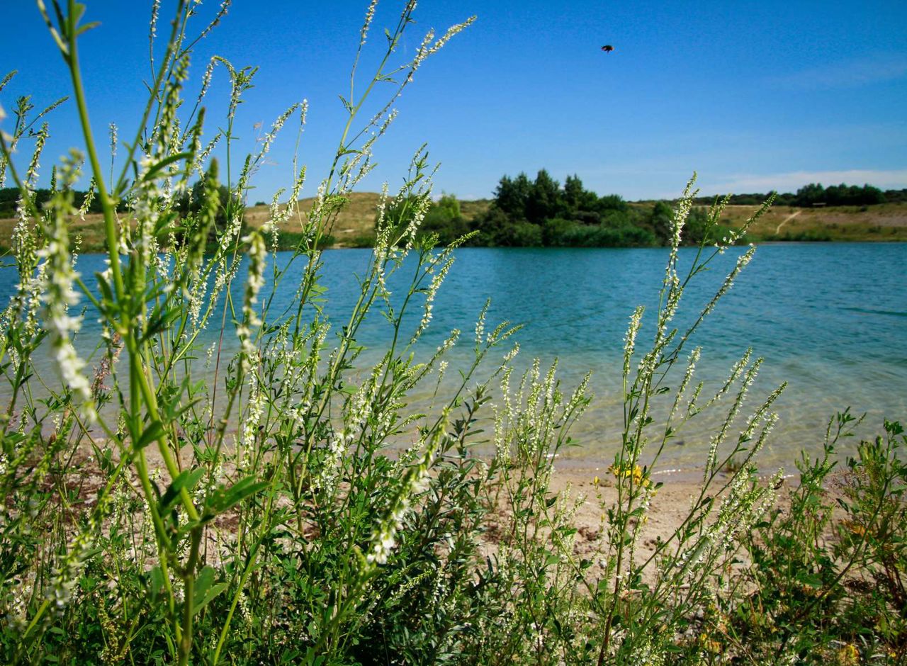 Lynghøjsøerne består af tre søer, der engang var en del af Svogerslev Grusgrav