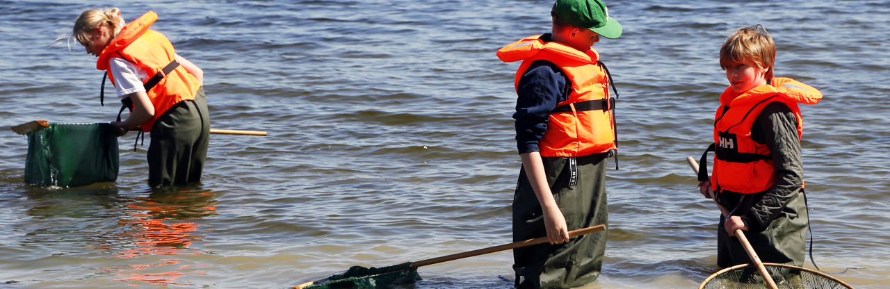 Tre elever med waders fisker med ketsjer i fjorden