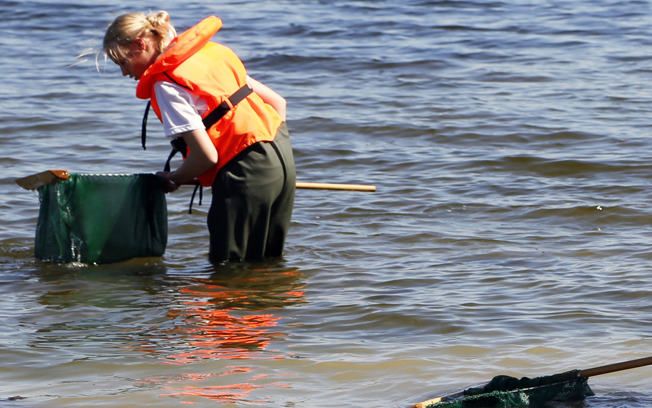 Tre elever med waders fisker med ketsjer i fjorden