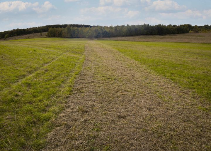 Himmelev Skov udvides til dobbelt størrelse, i løbet af de kommende år.