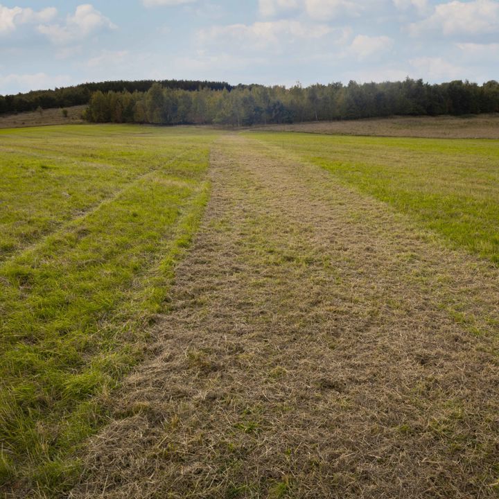 Himmelev Skov udvides til dobbelt størrelse, i løbet af de kommende år.