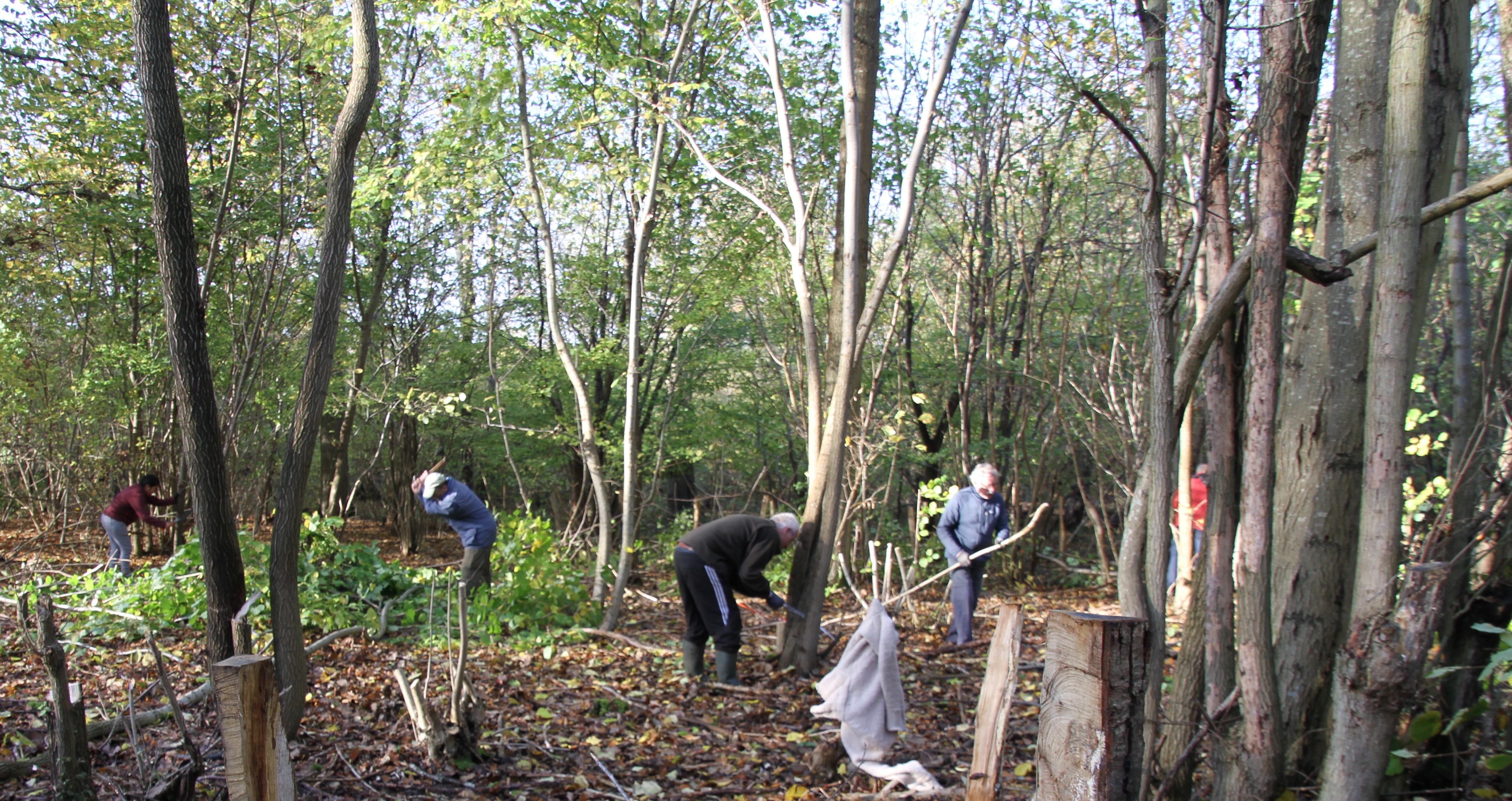 Frivillige fra Boserup Stævningslaug i fuld sving med arbejdet