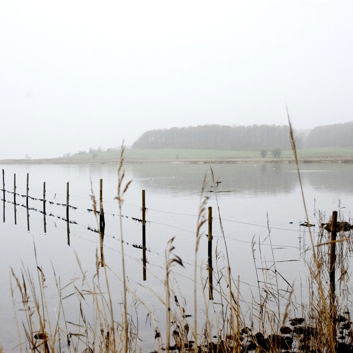 Udsigt over Vigen.