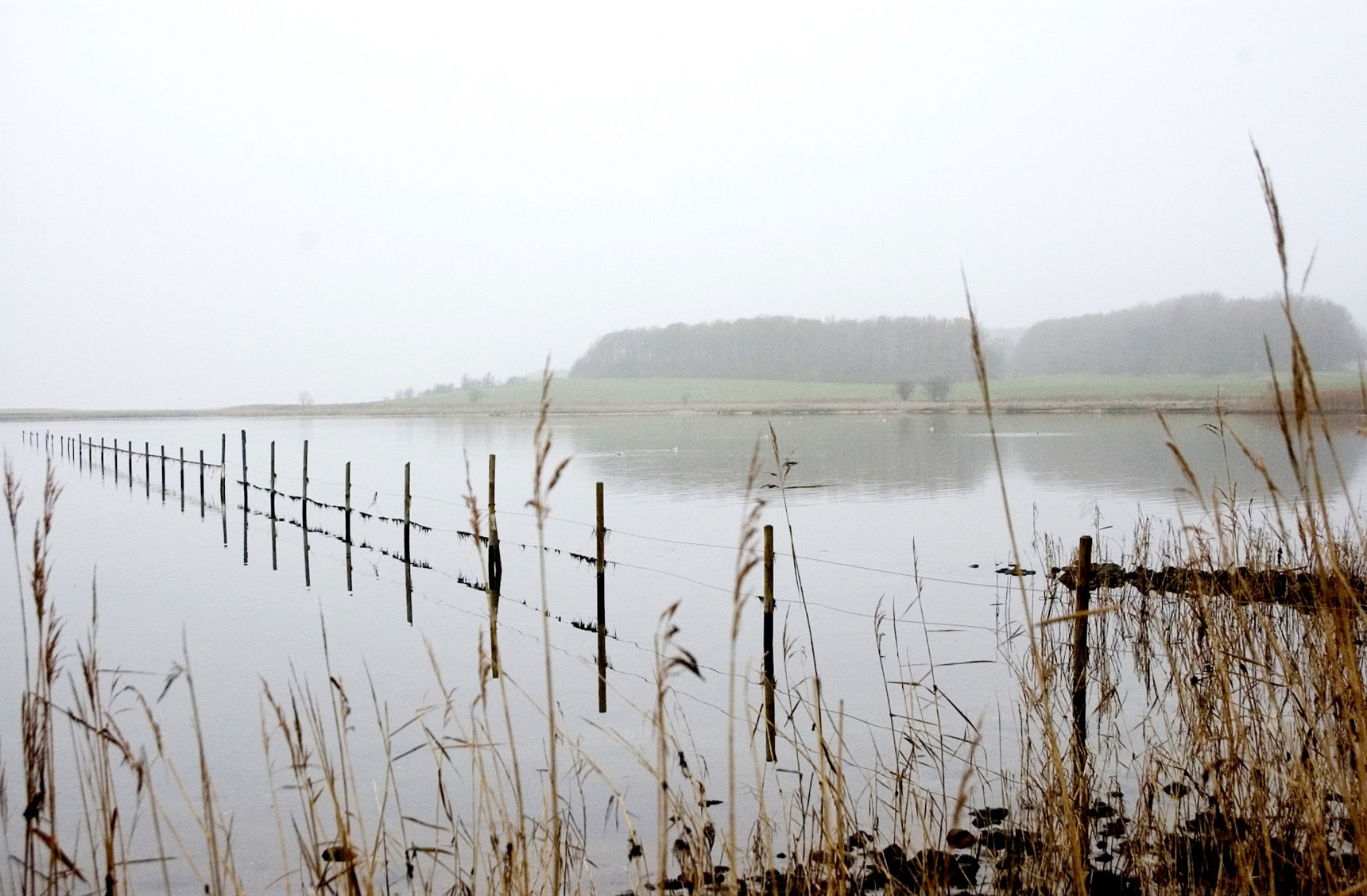 Udsigt over Vigen.