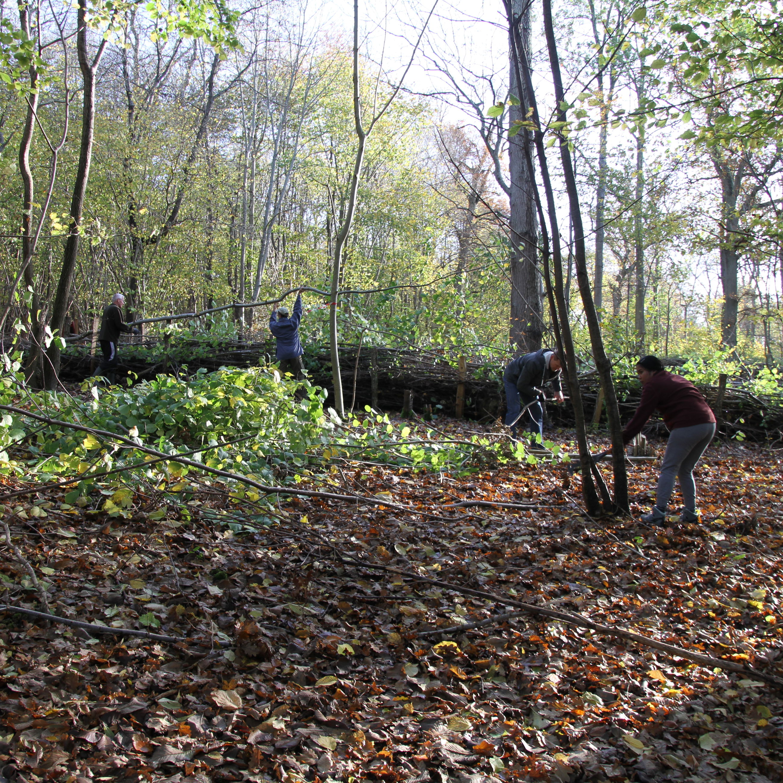 Grenhegn eller "gærdsel" bliver der også bygget!