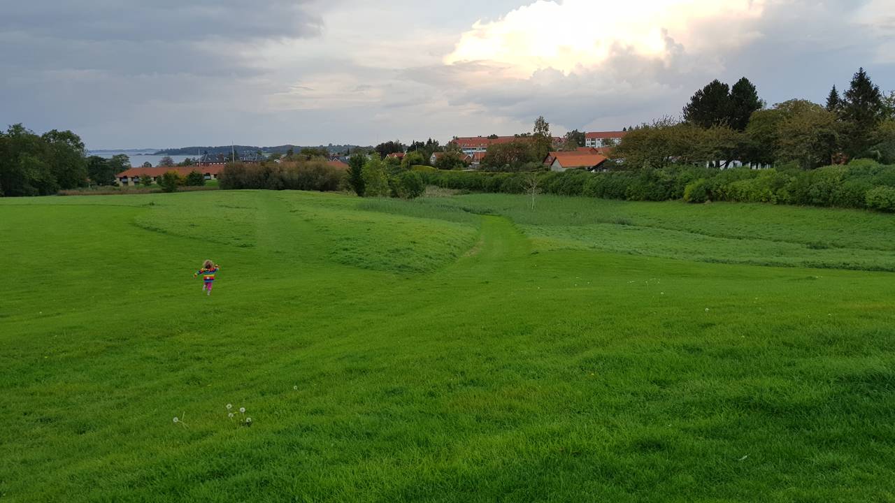 Udsigt fra toppen af amfiteatret i Folkeparken.