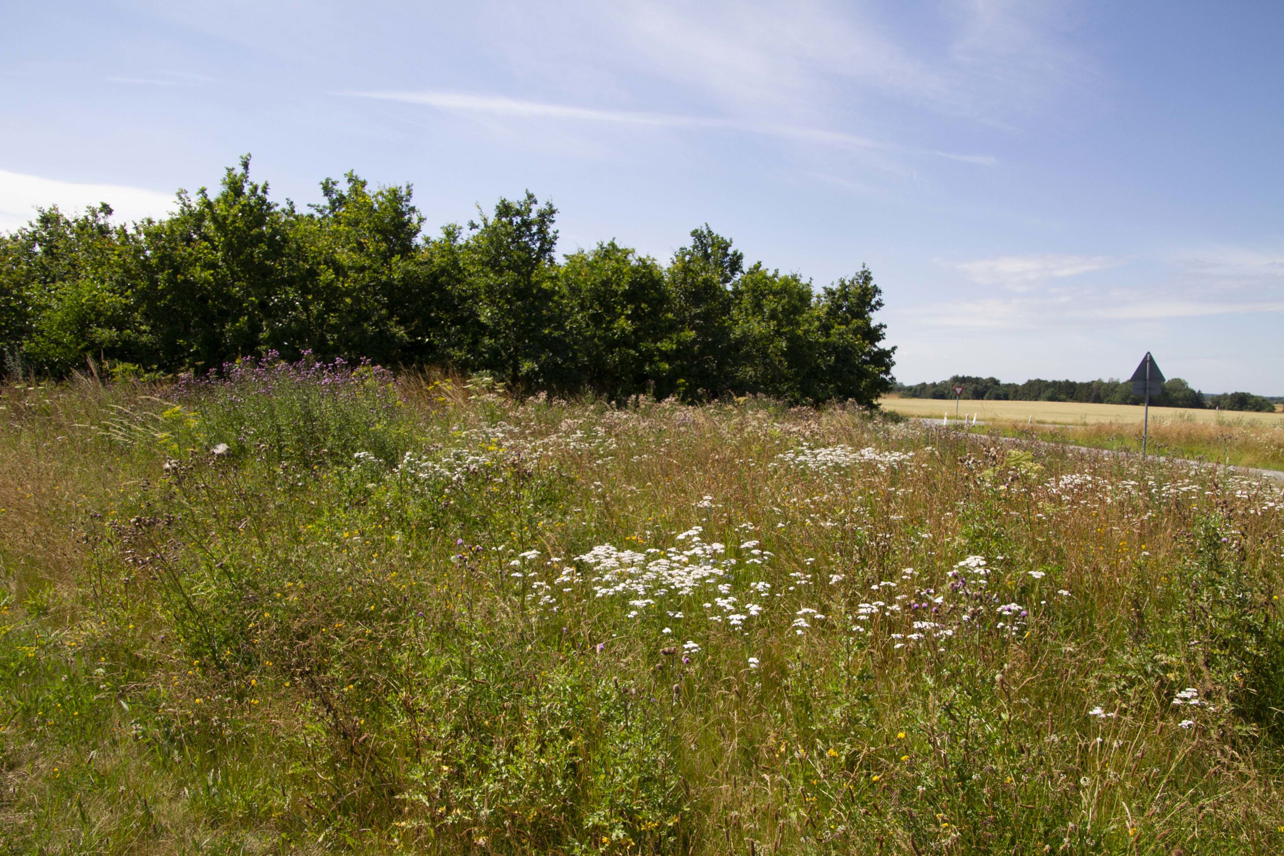 Vibyvejen.