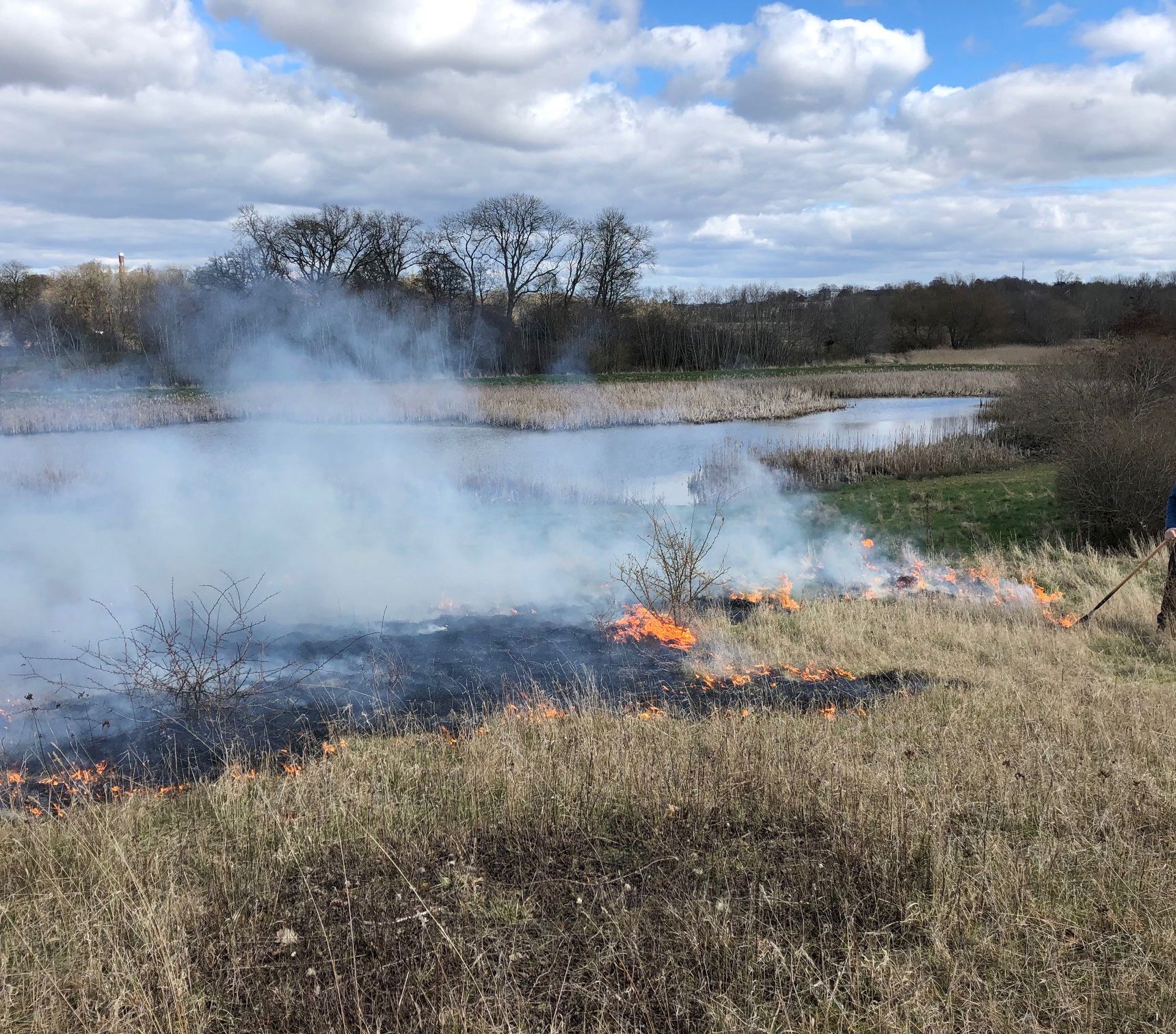 Kontrolleret afbrænding ved Hørhusene