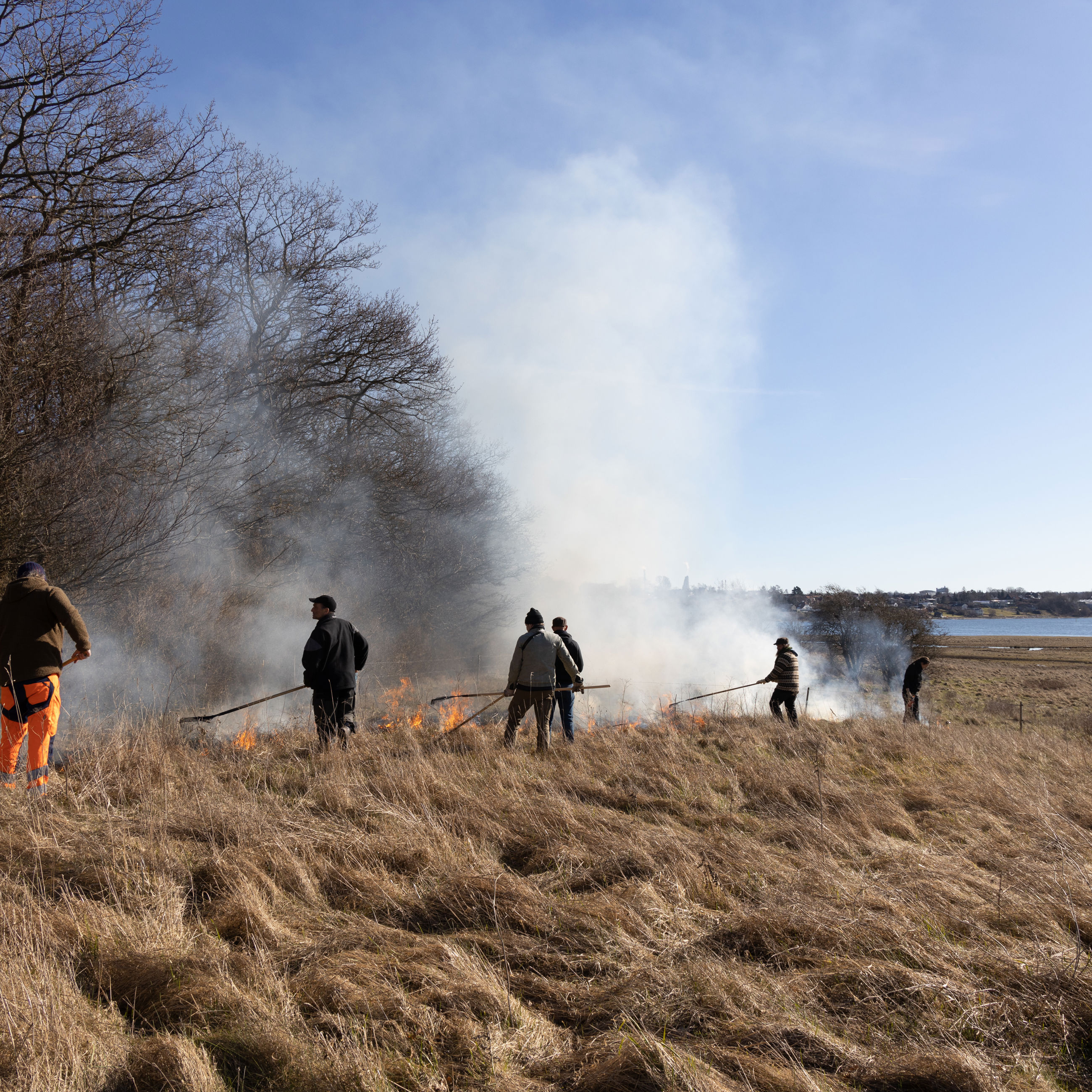 Den kontrollerede afbrænding sættes i gang - frivillige og ansatte hos kommunen hjælper til.