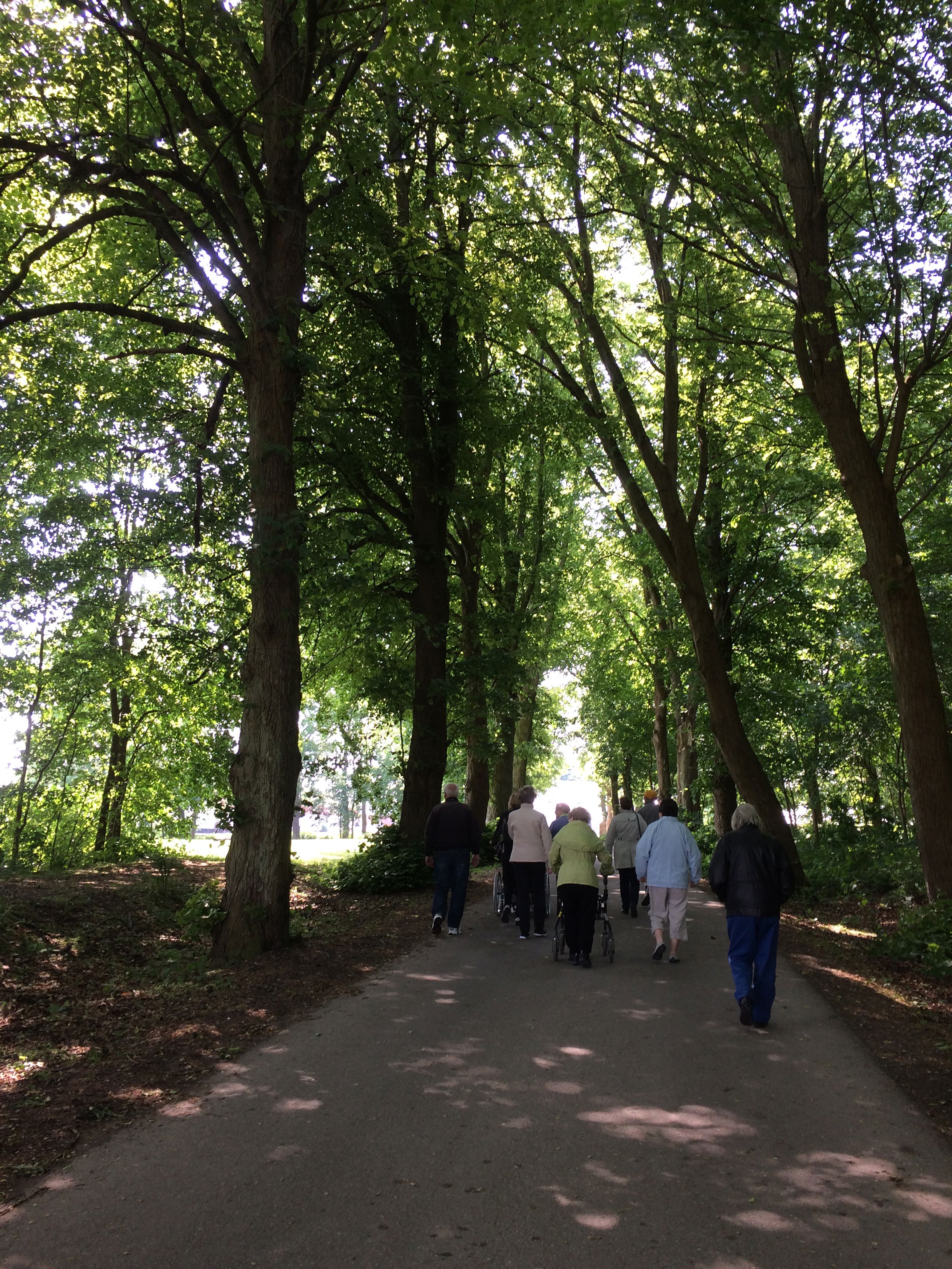 Seniorhøjskolen går i skoven ved andelslandsbyen